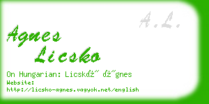 agnes licsko business card